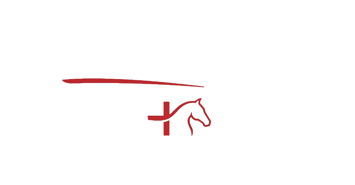 PakHorses
