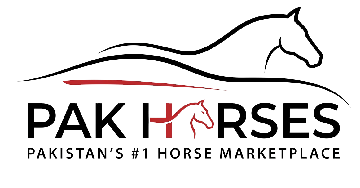 PakHorses