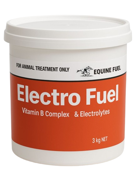 Electro Fuel